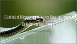 common misconceptions about snake climbing abilities