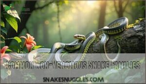 common non-venomous snake families