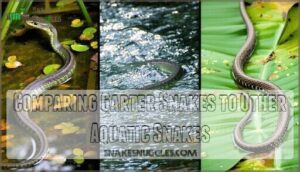 comparing garter snakes to other aquatic snakes
