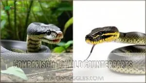 comparison to wild counterparts comparison to wild counterparts