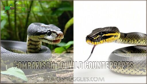 How Many Teeth Do Ball Pythons Have? 100+ Sharp Curved Facts