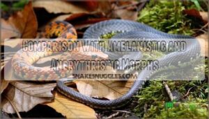 comparison with amelanistic and anerythristic morphs