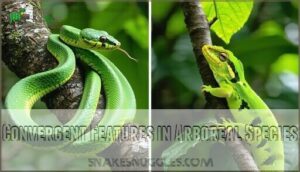 convergent features in arboreal species