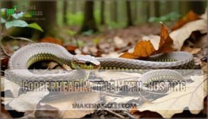 copperhead rattle myth-busting