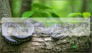 debunking myths about snake nursing