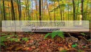 deciduous forests