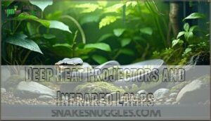 deep heat projectors and infrared lamps