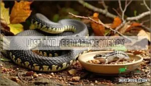 diet and feeding frequency diet and feeding frequency