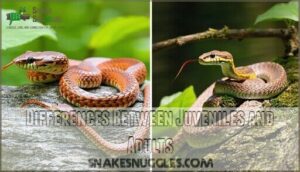 differences between juveniles and adults