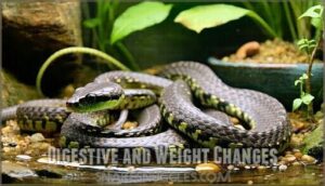 digestive and weight changes