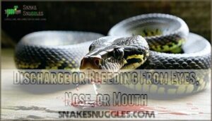discharge or bleeding from eyes, nose, or mouth