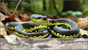 do garter snakes bite often