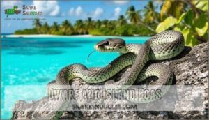 dwarf and island boas