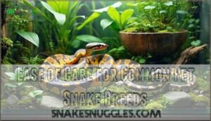 ease of care for common pet snake breeds