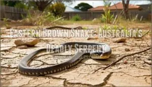 eastern brown snake: australia's deadly serpent eastern brown snake: australia's deadly serpent