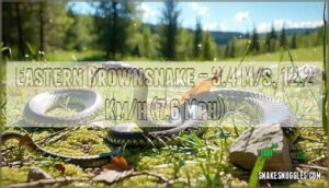 eastern brownsnake – 3.4 m/s, 12.2 km/h (7.6 mph)