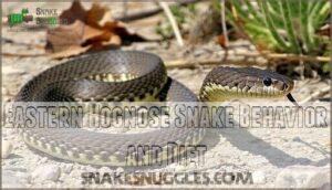 eastern hognose snake behavior and diet