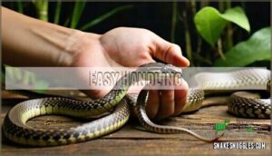easy handling