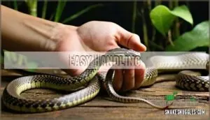 easy handling easy handling