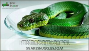 effective shed removal