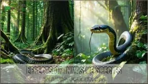 effects of invasive species effects of invasive species