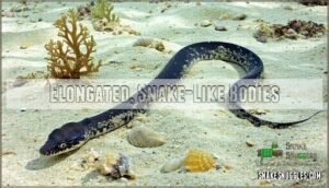 elongated, snake-like bodies