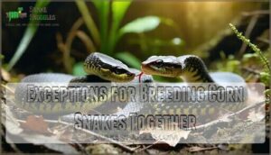 exceptions for breeding corn snakes together