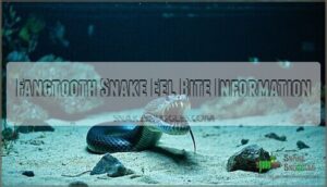 fangtooth snake eel bite information