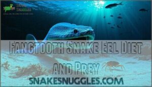 fangtooth snake eel diet and prey