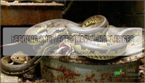 feeding and veterinary challenges