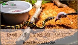 feeding and watering in captivity