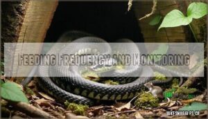 feeding frequency and monitoring