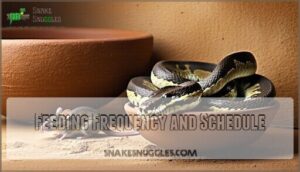 feeding frequency and schedule