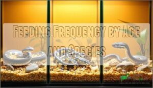 feeding frequency by age and species