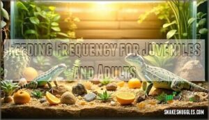 feeding frequency for juveniles and adults