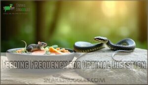 feeding frequency for optimal digestion