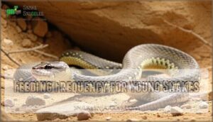 feeding frequency for young snakes