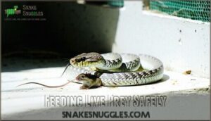 feeding live prey safely