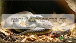 feeding your snake whole prey