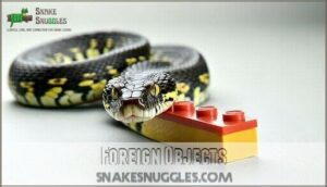 foreign objects