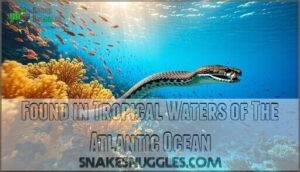 found in tropical waters of the atlantic ocean