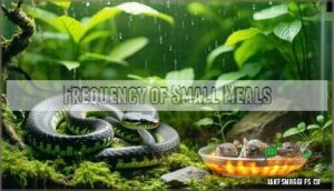 frequency of small meals