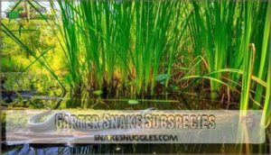 garter snake subspecies