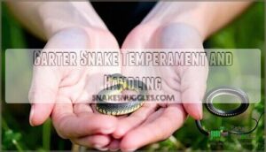 garter snake temperament and handling