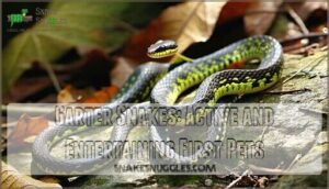 garter snakes: active and entertaining first pets