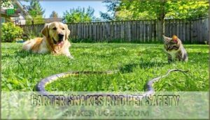 garter snakes and pet safety