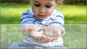 garter snakes as pets for beginners garter snakes as pets for beginners
