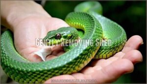 gently removing shed
