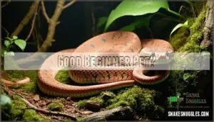 good beginner pet good beginner pet