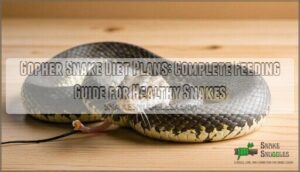 gopher snake diet plans